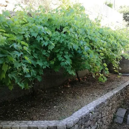 Apartment Nata- 3 Bedroom Beach Stanici